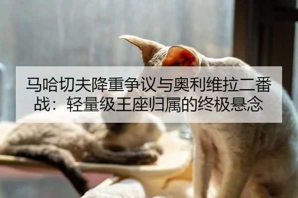 ma-ha-qie-fu-jiang-zhong-zheng-yi-yu-ao-li-wei-la-er-fan-zhan-qing-liang-ji-wang-zuo-gui-shu-de-zhong-ji-xuan-nian-2-685.jpg