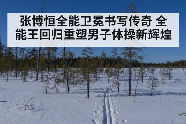 张博恒全能卫冕书写传奇 全能王回归重塑男子体操新辉煌